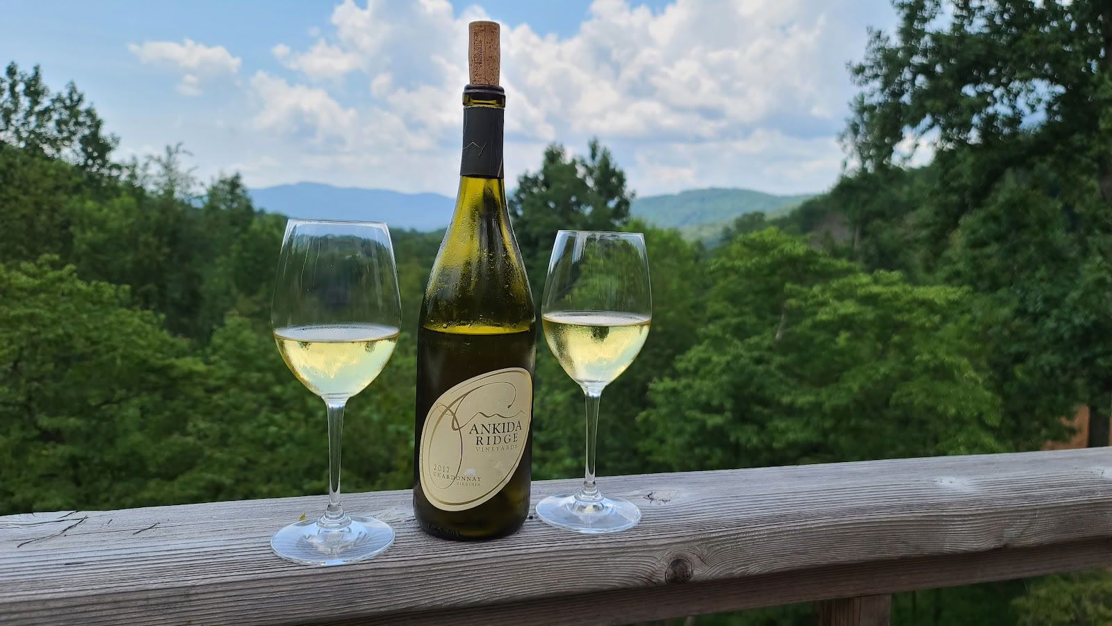 Vigneti di Ankida Ridge