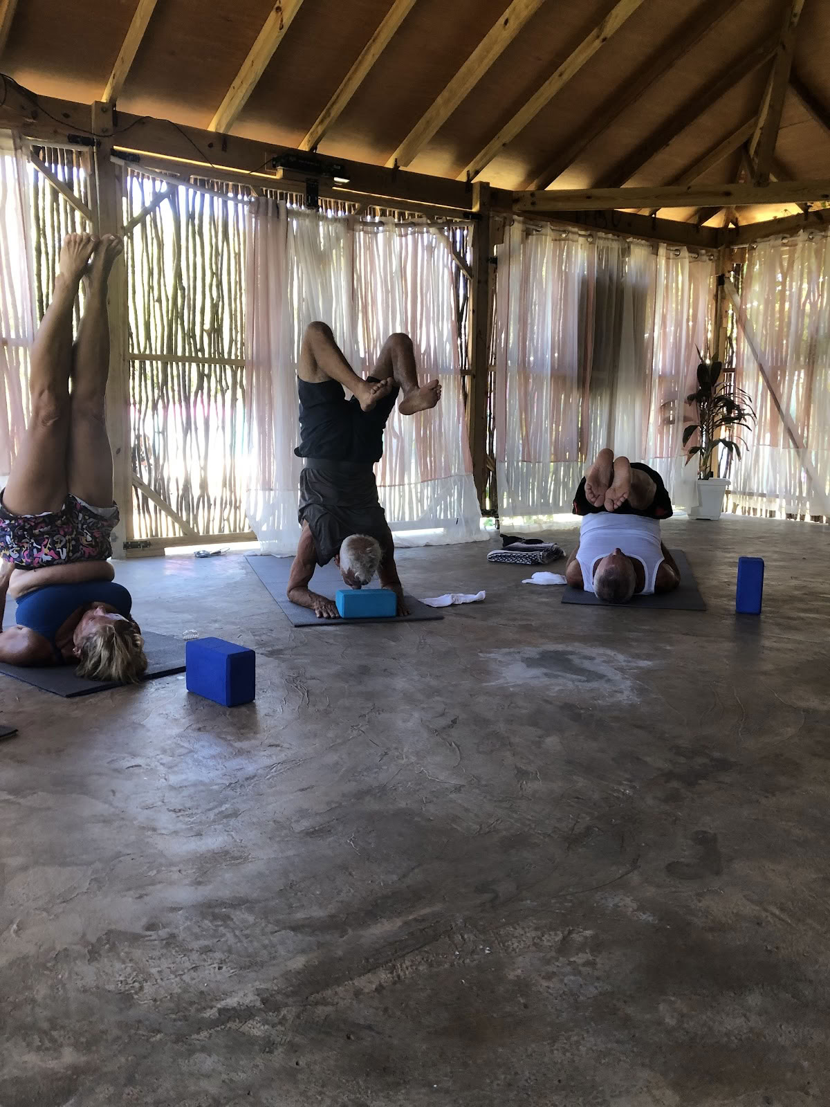 Wise Wellness - Centro Yoga / Day Spa e iTal Mama Vegan Cafe