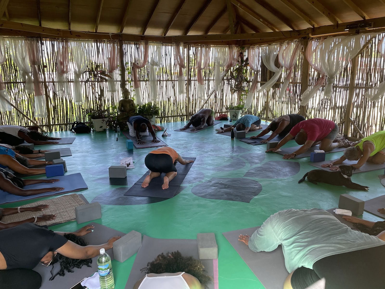 Wise Wellness - Centro Yoga / Day Spa e iTal Mama Vegan Cafe