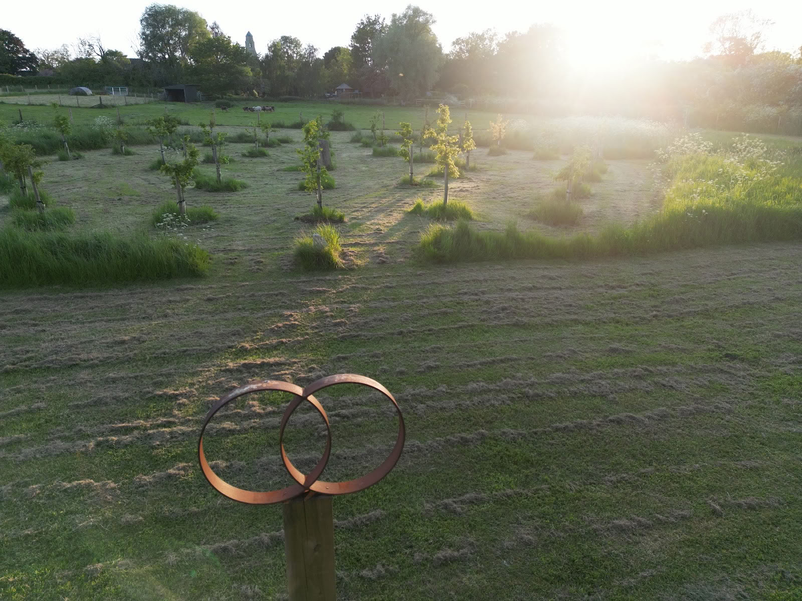 Campo di Guarigione