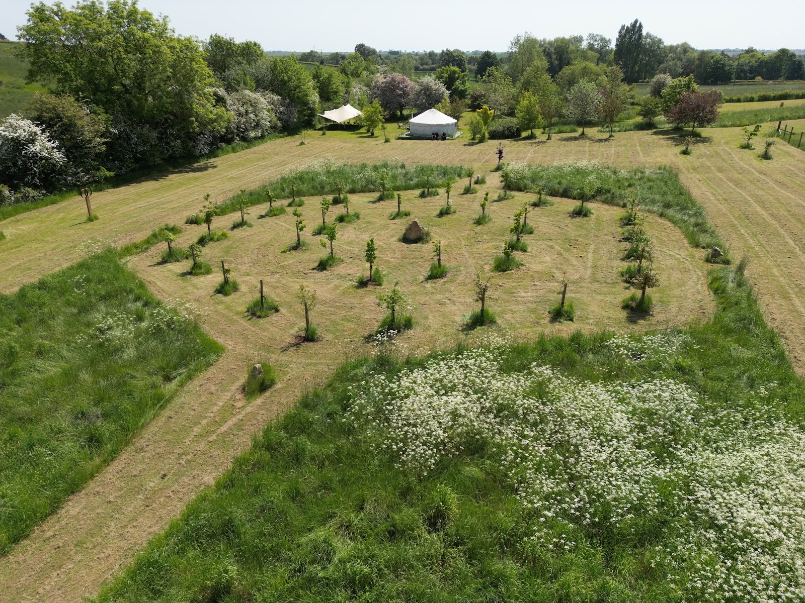 Campo di Guarigione