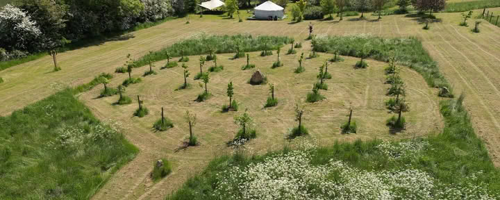 Campo di Guarigione