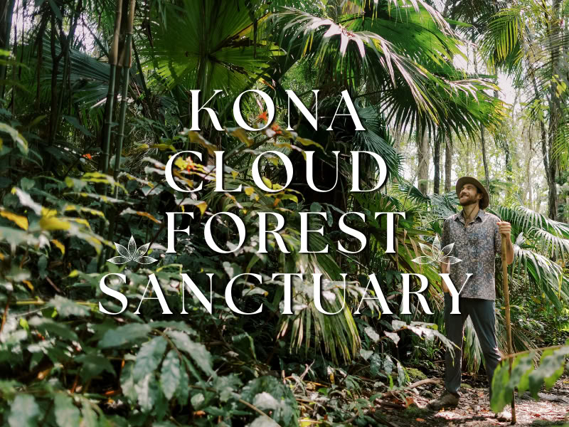 Santuario della Foresta Nebulosa di Kona