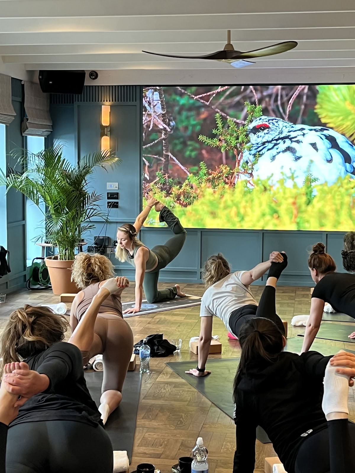 Yoga di Lauren Marples