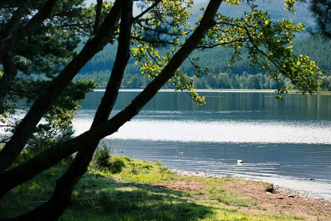 Loch Rannoch Hotel, Spa ed Estate