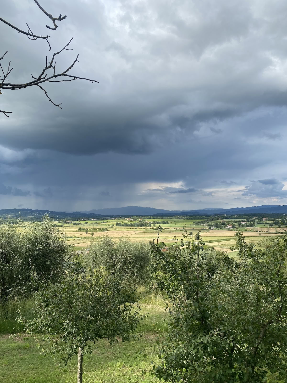 Maraviglia Vita Consapevole