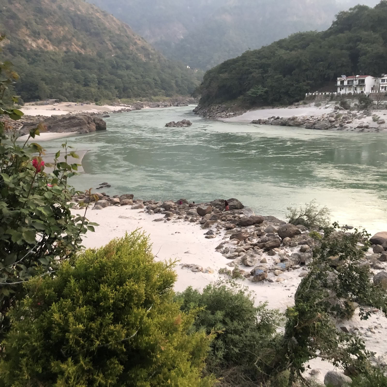 Un istituto di yogi himalayano a Rishikesh