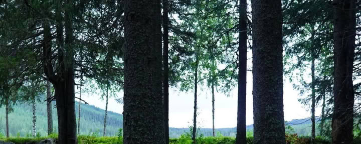Nessuna connessione AB