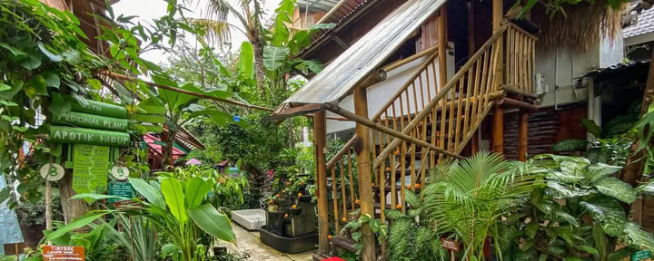 Guesthouse ecologica Serenity e Yoga