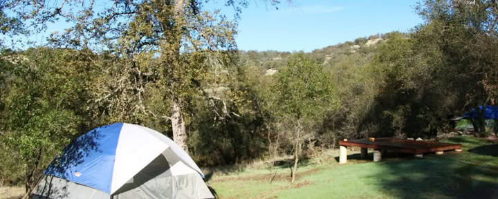 Tenda - Porta la tua (uomo)