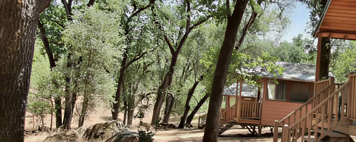 Om Cabin - Privata (1 letto singolo)