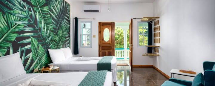 Suite 4 – Giungla Nascosta (Camera doppia)