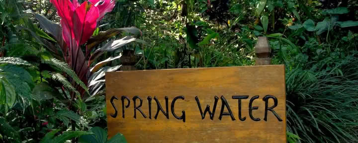 Bungalow Acqua di Primavera