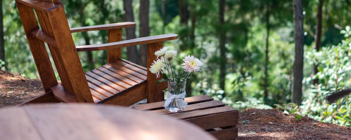 Cabina privata con bagno privato, terrazza e vista sulla foresta
