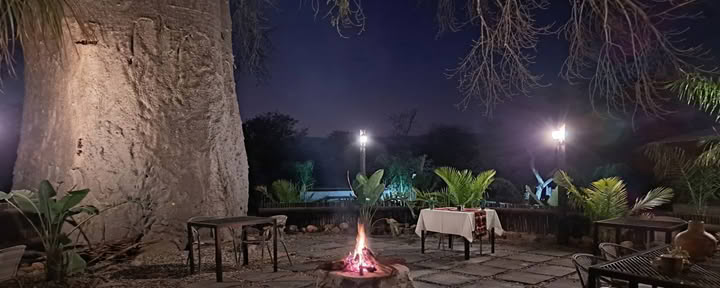Camera Lodge X