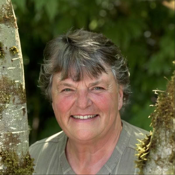Dr. Kathy Holley
